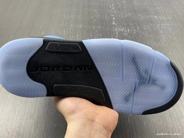 UNC Air 5 DV1310-401 Jordan 0818